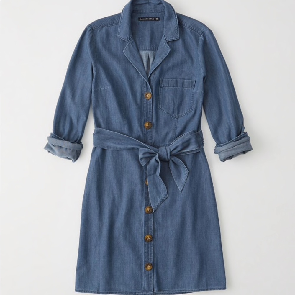 Abercrombie and Fitch denim dress